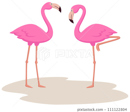 Cute flamingos cartoon on white background Cute flamingos cartoon on white background 111122804