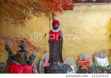 Kyoto Injunji Temple (Senbon Enma-do) Many Jizo and autumn leaves behind the main hall 111124112