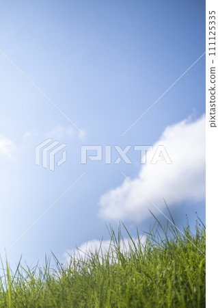A refreshing blue sky and prairie in the summer A refreshing blue sky and prairie in the summer 111125335