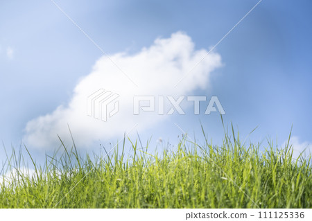 A refreshing blue sky and prairie in the summer A refreshing blue sky and prairie in the summer 111125336