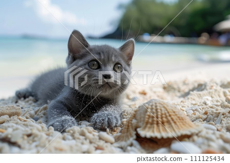 AI-generated content. Cute Cat on beach in summer season. Generative AI 111125434