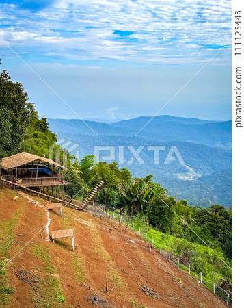 Skywalk Mon Jam flower garden in Mae Rim, Chiang Mai, Thailand Skywalk Mon Jam flower garden in Mae Rim, Chiang Mai, Thailand 111125443