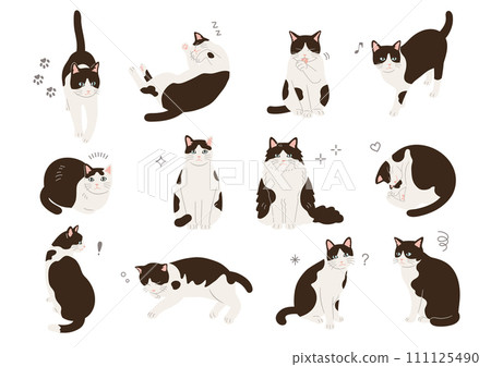 不同姿勢的貓的插圖 不同姿勢的貓的插圖 111125490
