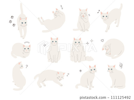 不同姿勢的白貓的插圖 111125492