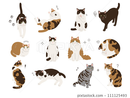 不同姿勢的貓的插圖 不同姿勢的貓的插圖 111125493