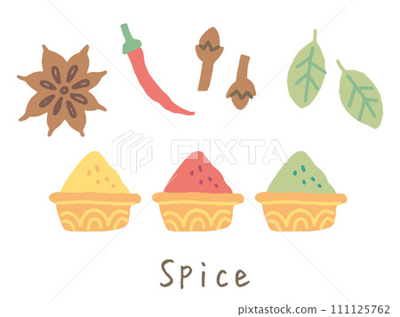 Indian spices (with vector) 111125762