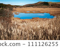 A pond in Yashimagahara Wetland reflecting the color of the blue sky (Suwa District, Nagano Prefecture) A pond in Yashimagahara Wetland reflecting the color of the blue sky (Suwa District, Nagano Prefecture) 111126255