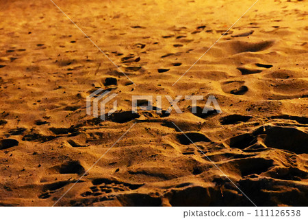A sandy beach sparkling with lights in the darkness before dawn 111126538