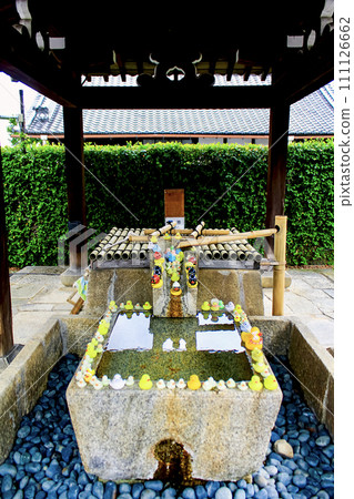 [京都] 春天的空海光明寺 - 用玩具鴨裝飾的長頭屋 111126662