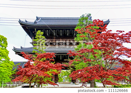 [京都]春天的空海光明寺，從院內看到的三門 111126666