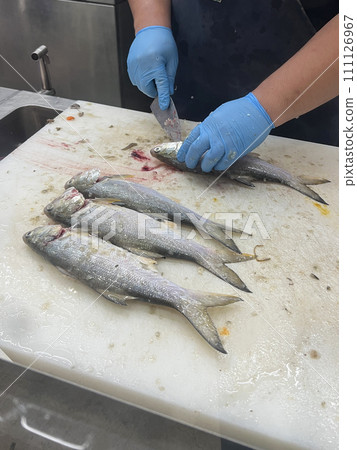 Photograph the fishmonger as he skillfully removes the internal organs and scales Photograph the fishmonger as he skillfully removes the internal organs and scales 111126967