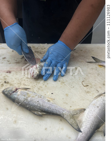 Photograph the fishmonger as he skillfully removes the internal organs and scales Photograph the fishmonger as he skillfully removes the internal organs and scales 111126983
