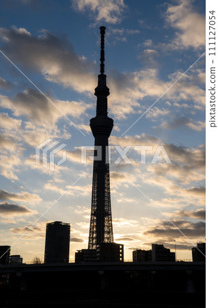 Tokyo Skytree shining in the morning sun 111127054