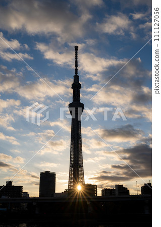Tokyo Skytree shining in the morning sun 111127056