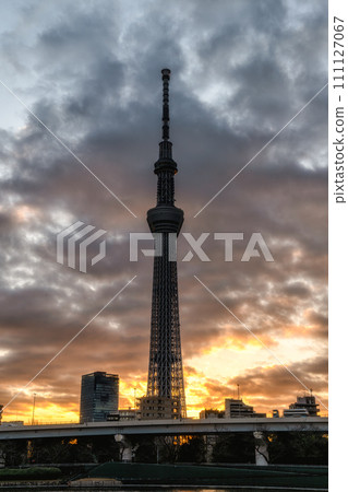 Tokyo Skytree shining in the morning sun 111127067