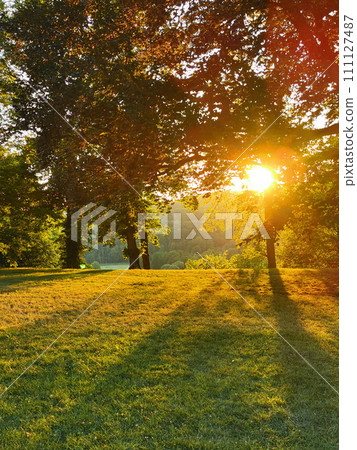 sunset in the green park sunset in the green park 111127487