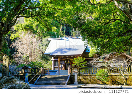 Fresh greenery and Awa Shrine building 111127771