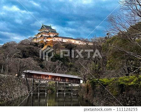 和歌山城和廊橋 111128255