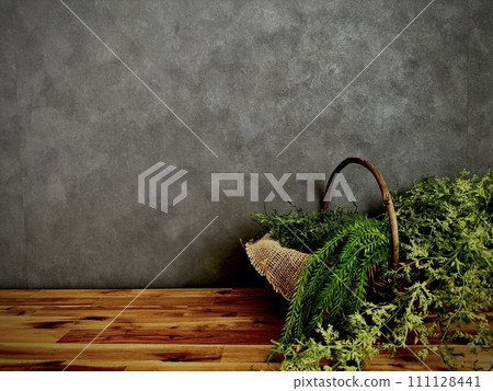 在混凝土牆上脫穎而出的植物 111128441