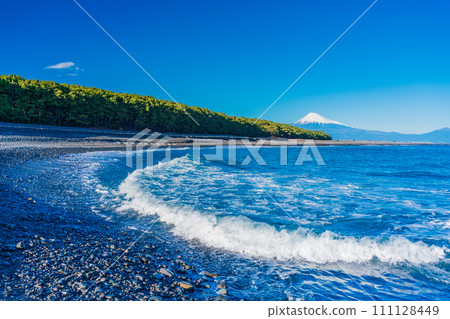 （靜岡縣）美穗的松原和富士山 111128449