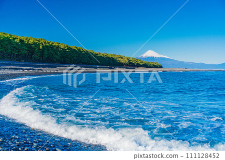 （靜岡縣）美穗的松原和富士山 111128452