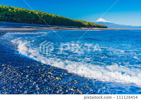（靜岡縣）美穗的松原和富士山 111128454