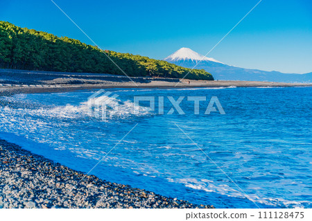 (靜岡縣)美穗的松原和富士山 (靜岡縣)美穗的松原和富士山 111128475