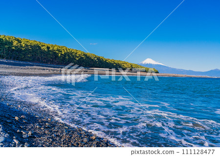 (靜岡縣)美穗的松原和富士山 (靜岡縣)美穗的松原和富士山 111128477