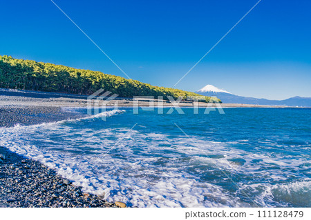 (Shizuoka Prefecture) Miho's Matsubara and Mt. Fuji 111128479