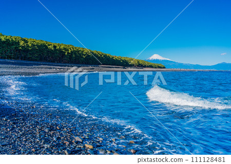 (Shizuoka Prefecture) Miho's Matsubara and Mt. Fuji 111128481