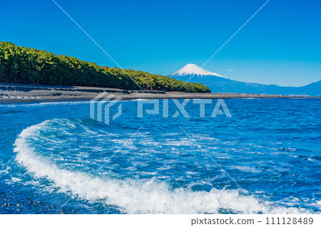 (Shizuoka Prefecture) Miho's Matsubara and Mt. Fuji 111128489
