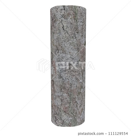 Wood Log isolated on white background 111129554