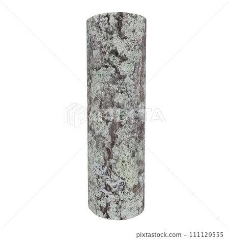 Wood Log isolated on white background Wood Log isolated on white background 111129555