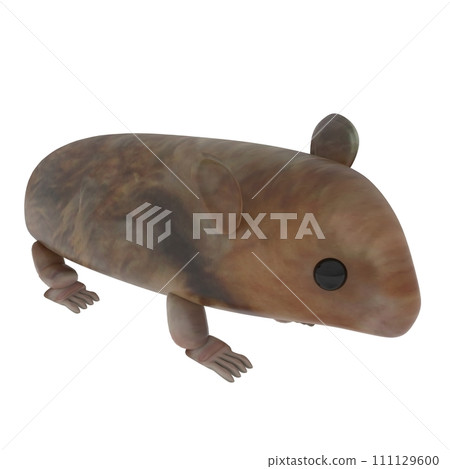 Little Mouse isolated on white background Little Mouse isolated on white background 111129600