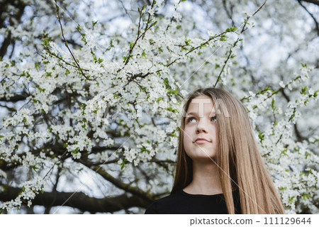 under blossom tree 111129644