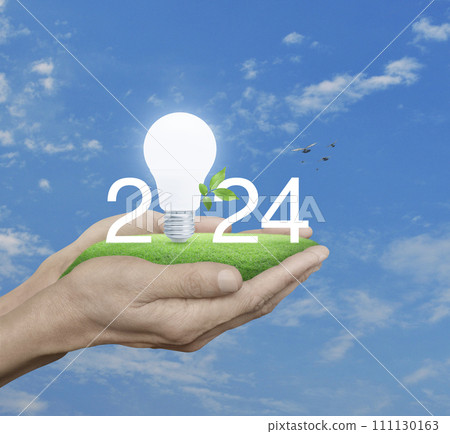 Happy new year 2024 ecological cover concept 111130163