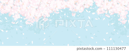 蓬鬆的櫻花與藍天 蓬鬆的櫻花與藍天 111130477