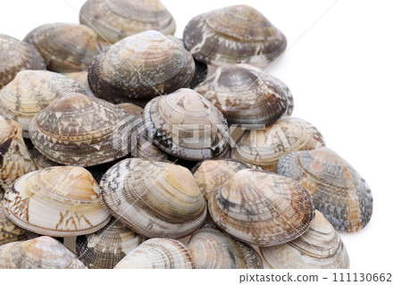 Asari Asari 111130662