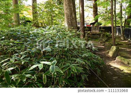 秋天Kakunoda武士房子 111131068