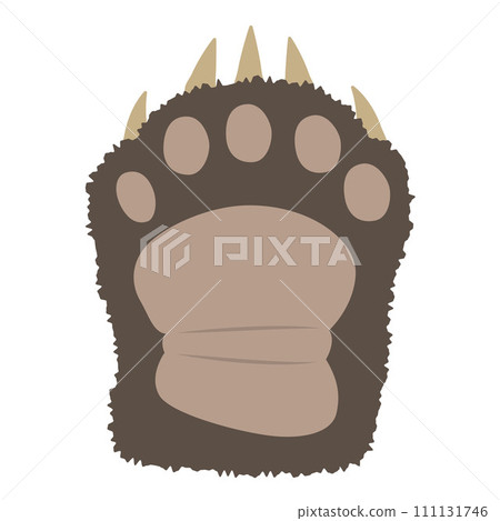 bear paw illustration 111131746