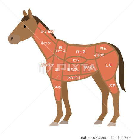 馬肉部位圖解 馬肉部位圖解 111131754
