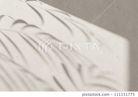 Sunshine, tree shadows, various texture backgrounds. 3d rendering. Sunshine, tree shadows, various texture backgrounds. 3d rendering. 111131775