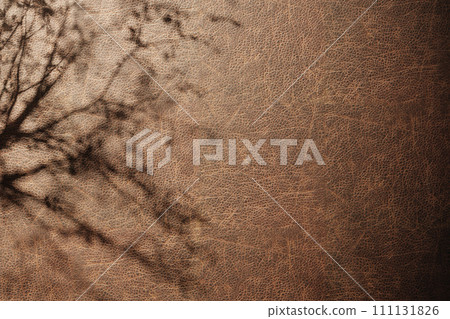 Sunshine, tree shadows, various texture backgrounds. 3d rendering. 111131826