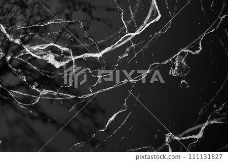 Sunshine, tree shadows, various texture backgrounds. 3d rendering. 111131827