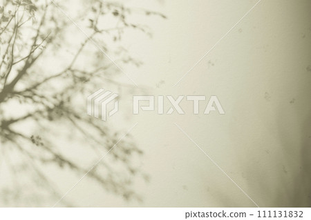 Sunshine, tree shadows, various texture backgrounds. 3d rendering. 111131832