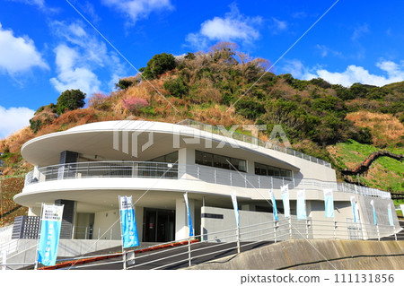 [兵庫縣] 改造後的灘黑岩水泉峽展望台 111131856