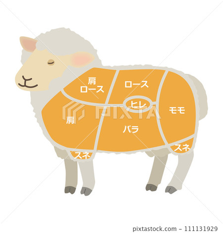 羊肉部位圖解 羊肉部位圖解 111131929