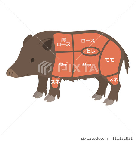 豬肉部位圖解 豬肉部位圖解 111131931