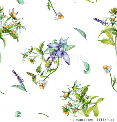 Sage herbal plant, bur-marigold watercolor seamless pattern isolated on white background. Salvia, nettle, chamomile, daisy useful flowers hand drawn. Design for label, package, home textile, wrapping Sage herbal plant, bur-marigold watercolor seamless pattern isolated on white background. Salvia, nettle, chamomile, daisy useful flowers hand drawn. Design for label, package, home textile, wrapping 111132055