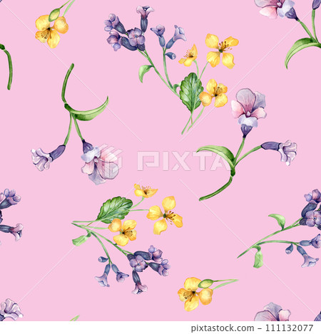 Medicinal plants watercolor seamless pattern isolated on pink background. Pulmonaria officinalis purple flower hand drawn. Painted celandine herb plant. Design for label, package, textile, wrapping 111132077